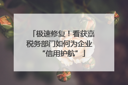 极速修复！看获嘉税务部门如何为企业“信用护航”