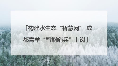 构建水生态“智慧网” 成都青羊“智能哨兵”上岗