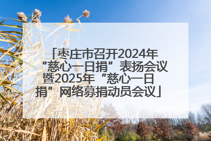 枣庄市召开2024年“慈心一日捐”表扬会议暨2025年“慈心一日捐”网络募捐动员会议
