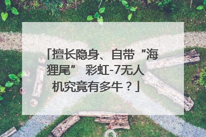 擅长隐身、自带“海狸尾” 彩虹-7无人机究竟有多牛？