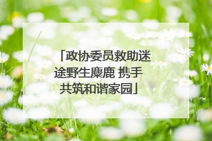 政协委员救助迷途野生麋鹿 携手共筑和谐家园