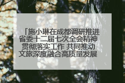 施小琳在成都调研推进省委十二届七次全会精神贯彻落实工作 共同推动文旅深度融合高质量发展 加快打造支柱产业民生产业幸福产业