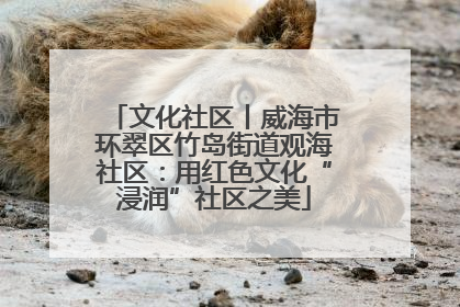 文化社区丨威海市环翠区竹岛街道观海社区：用红色文化“浸润”社区之美