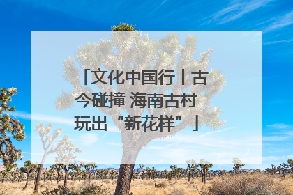 文化中国行丨古今碰撞 海南古村玩出“新花样”