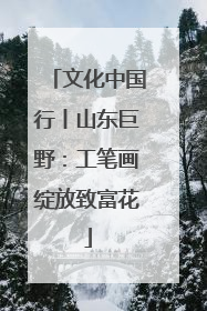 文化中国行丨山东巨野：工笔画绽放致富花