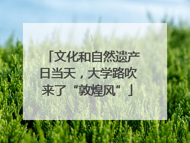 文化和自然遗产日当天，大学路吹来了“敦煌风”