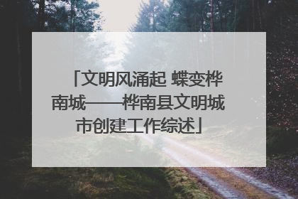 文明风涌起 蝶变桦南城——桦南县文明城市创建工作综述
