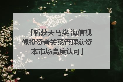 斩获天马奖 海信视像投资者关系管理获资本市场高度认可