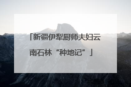 新疆伊犁厨师夫妇云南石林“种地记”
