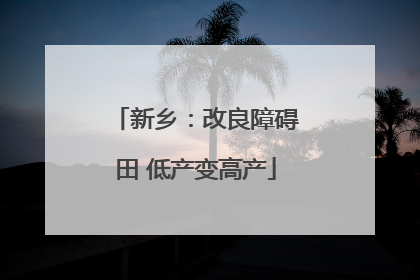 新乡：改良障碍田 低产变高产