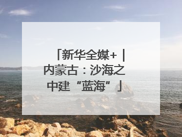 新华全媒+｜内蒙古：沙海之中建“蓝海”