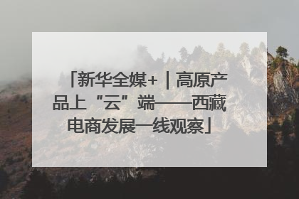 新华全媒+｜高原产品上“云”端——西藏电商发展一线观察