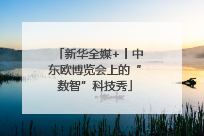 新华全媒+丨中东欧博览会上的“数智”科技秀