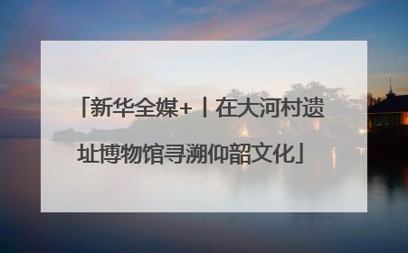 新华全媒+丨在大河村遗址博物馆寻溯仰韶文化