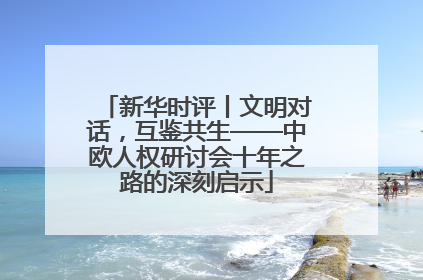 新华时评丨文明对话，互鉴共生——中欧人权研讨会十年之路的深刻启示