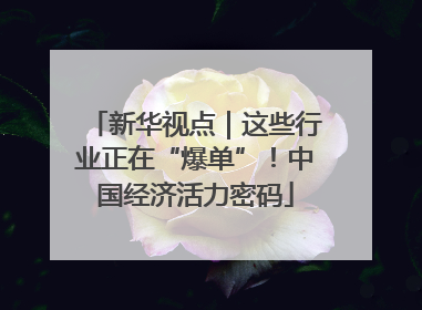 新华视点｜这些行业正在“爆单”！中国经济活力密码