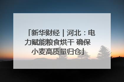 新华财经｜河北：电力赋能粮食烘干 确保小麦高质量归仓