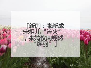 新剧：张新成宋祖儿“淬火”，张婧仪周翊然“焕羽”