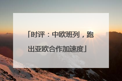 时评：中欧班列，跑出亚欧合作加速度