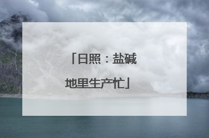 日照：盐碱地里生产忙