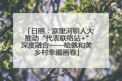 日照：寨里河镇人大推动“代表联络站+”深度融合——绘就和美乡村幸福画卷