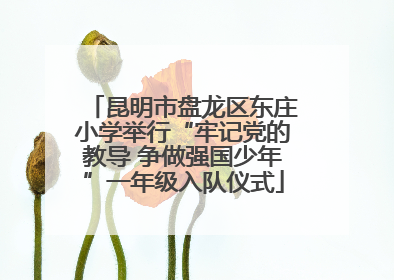 昆明市盘龙区东庄小学举行“牢记党的教导 争做强国少年”一年级入队仪式