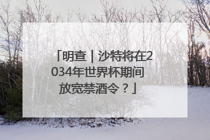 明查｜沙特将在2034年世界杯期间放宽禁酒令？