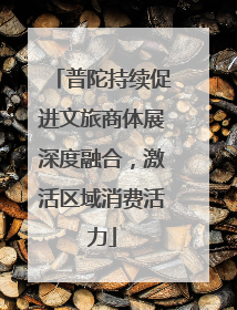 普陀持续促进文旅商体展深度融合，激活区域消费活力