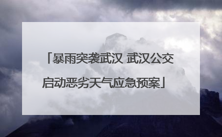 暴雨突袭武汉 武汉公交启动恶劣天气应急预案