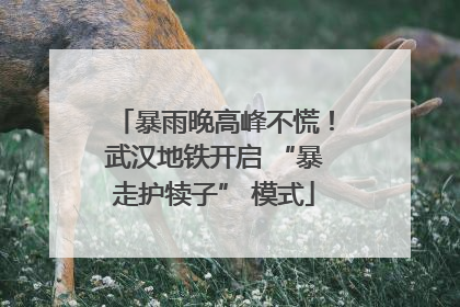 暴雨晚高峰不慌！武汉地铁开启 “暴走护犊子” 模式