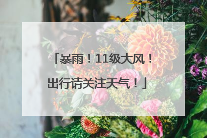 暴雨！11级大风！出行请关注天气！