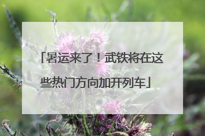 暑运来了！武铁将在这些热门方向加开列车