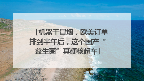 机器干冒烟，欧美订单排到半年后，这个国产“益生菌”真硬核超车
