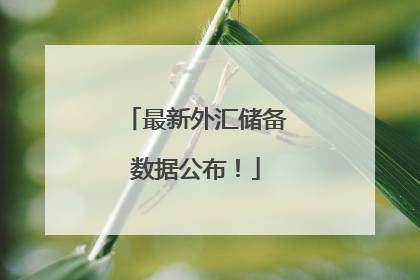 最新外汇储备数据公布！