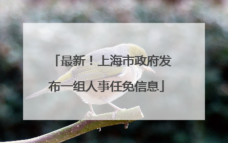 最新！上海市政府发布一组人事任免信息