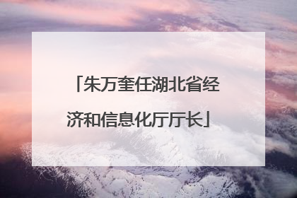 朱万奎任湖北省经济和信息化厅厅长