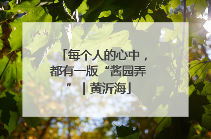 每个人的心中，都有一版“酱园弄”｜黄沂海