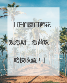 正值厦门荷花观赏期，赏荷攻略快收藏！