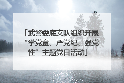 武警娄底支队组织开展“学党章、严党纪、强党性”主题党日活动