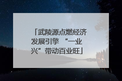 武陵源点燃经济发展引擎 “一业兴”带动百业旺