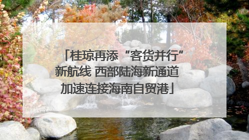 桂琼再添“客货并行”新航线 西部陆海新通道加速连接海南自贸港