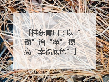 桂东青山：以“动”治“净” 擦亮“幸福底色”