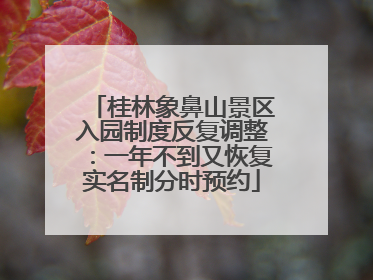 桂林象鼻山景区入园制度反复调整：一年不到又恢复实名制分时预约