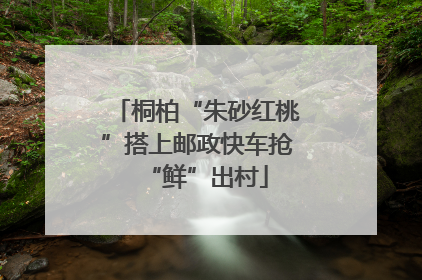 桐柏“朱砂红桃”搭上邮政快车抢“鲜”出村