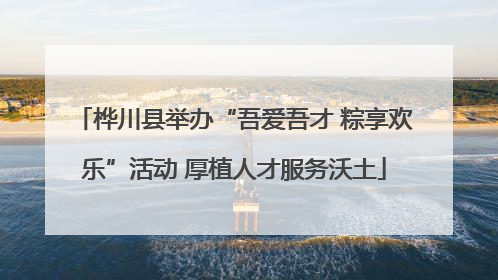 桦川县举办“吾爱吾才 粽享欢乐”活动 厚植人才服务沃土