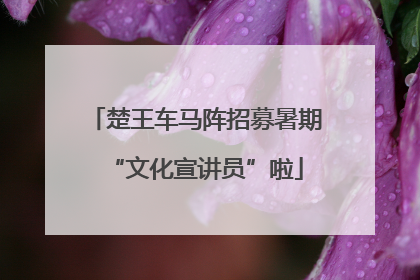 楚王车马阵招募暑期“文化宣讲员”啦