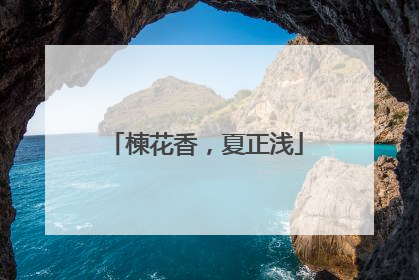 楝花香，夏正浅