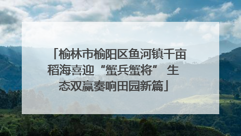 榆林市榆阳区鱼河镇千亩稻海喜迎“蟹兵蟹将” 生态双赢奏响田园新篇