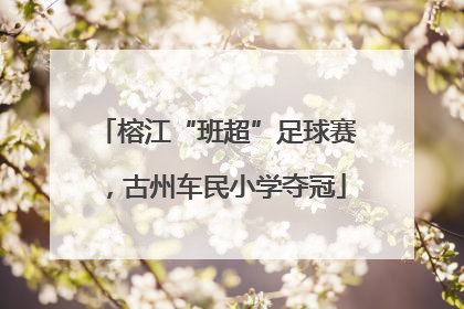 榕江“班超”足球赛，古州车民小学夺冠