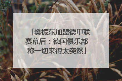 樊振东加盟德甲联赛幕后：德国俱乐部称一切来得太突然